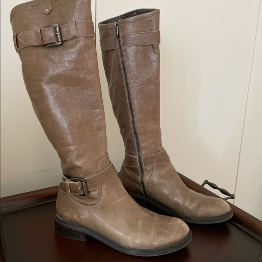 Enzo Angiolini 8M